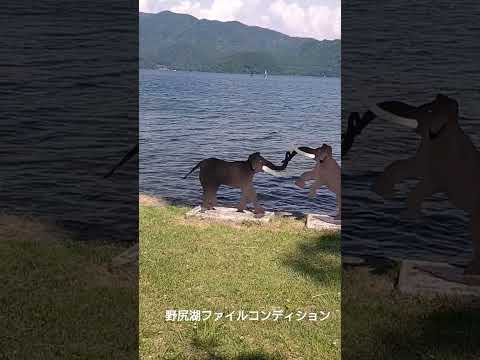 ある日の野尻湖風景