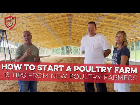 How to Start a Poultry Farm: 13 Tips from New Poultry Farmers