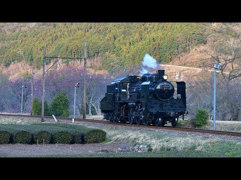 大井川鐵道 SLフェスタ2018 2 SL単機運転 2018年3月11日