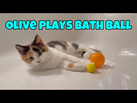 Olive Plays Bath Ball (4K)