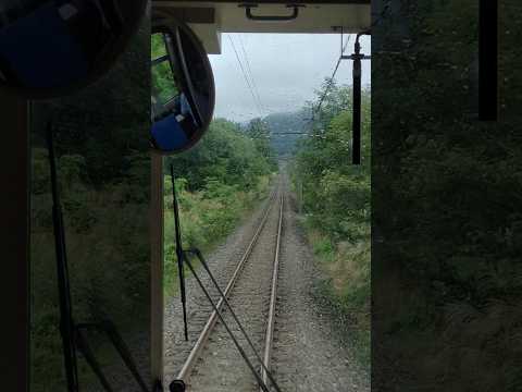 雨の白馬 #白馬村 #長野県 #信州 #電車 #大糸線 #鉄道 #jr東日本 #たびその #遥か38万キロのボヤージュ #チャンネル登録お願いします