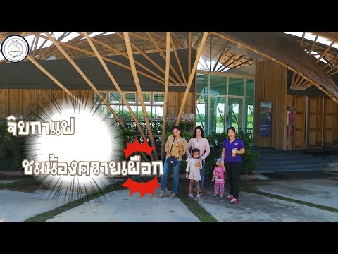 นีโอ ฟาร์ม​ (Neo Farm)​| มากันเถอะมันสวยจริงๆนะ​ | จิบกาแฟชมบรรยากาศ​ | food​ travel​ studio​ [EP.1]