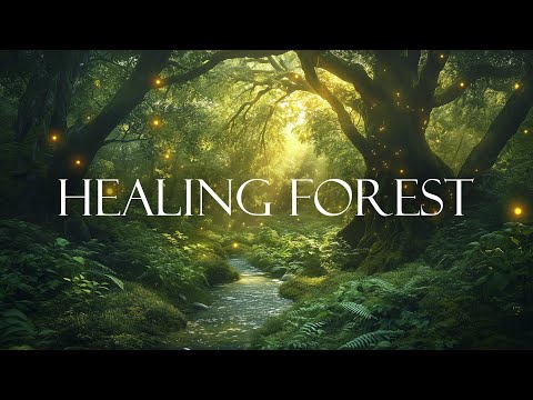 HEALING FOREST AMBIENCE 🍀 Attract love & luxury an radiate feminine energy 582 Hz