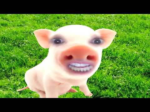 Dr. Pig Critiques the Anti-Psychiatry Movement (Dr. Pig the Psychiatrist Episode #4)