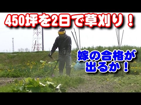 ４５０坪の別宅の草刈り、２日間かかりました！