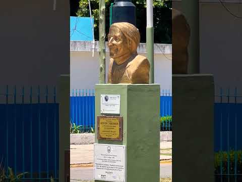 Busto de Néstor Kirchner en el centro de General Rodríguez #shorts #buenosaires #kirchner