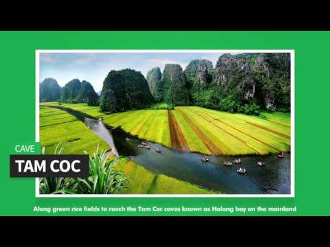 Ninh Binh 1 Day Tour - HAN1002