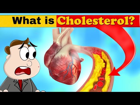 Cholesterol: Is Dr. Wrong About It? #cholestrol #goodcholesterol #badcholesterol #drabbasofficial