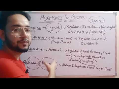 Coordination In Plants | Hormones In Plants & Animals | Cbse Class 10 (Ch-7) | By Fraz Khan