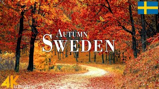 Autumn Sweden 4K Ultra HD • Stunning Footage Sweden, Scenic Relaxation Film with Calming Music.