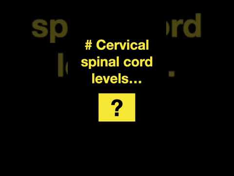 Testing Spinal cord and Nerves #Shorts Part A