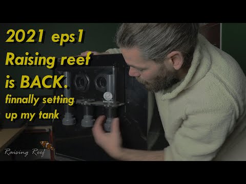 2021 ep1 raising reef is back tank build