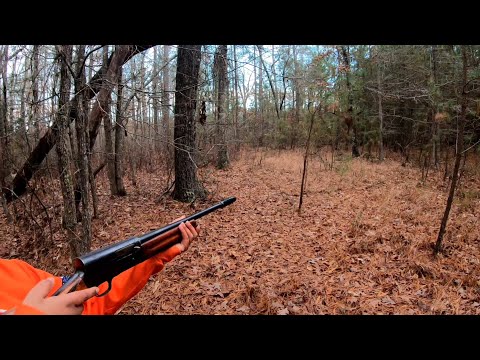 Deer Hunting With Dogs!! Epic Deer Chase!! W.B. Hunt Club! Ep. 4!