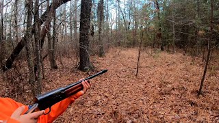 Deer Hunting With Dogs!! Epic Deer Chase!! W.B. Hunt Club! Ep. 4!