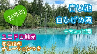 ユニドロ観光🦄北海道美瑛町🌟青い池🟦白ひげの滝🏞