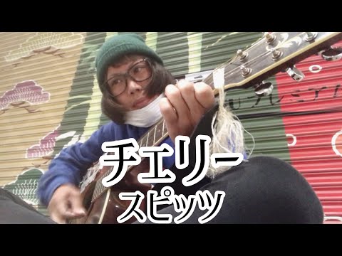 チェリー / スピッツ 【cover by 和泉隆宏】