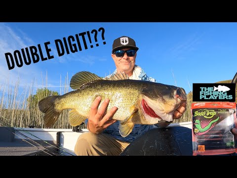 I Caught a Giant Bass but was it a Double Digit!?!-Personal Best at Castaic Lake