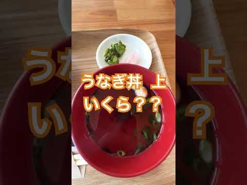 うな丼 上 いくら？？