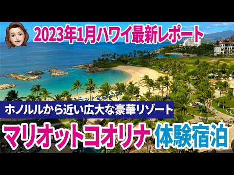 ハワイの楽園！マリオットコオリナビーチクラブ宿泊記＜2023年最新＞