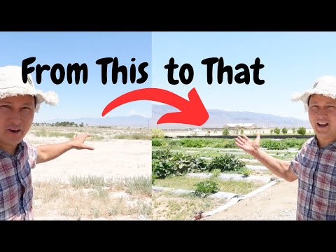 How this Organic Farm Beat the Odds & Grows Vegetables in the Desert