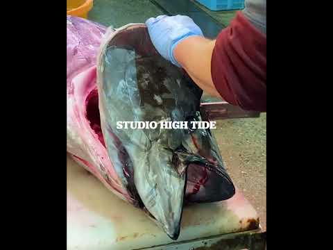 本鮪 - Bluefin Tuna preparation/Legendary chef makes amazing sushi!! #shorts #shorts