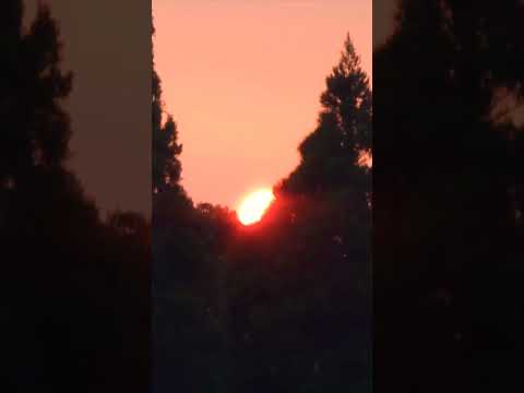 【癒し動画】夕焼け　茜空　#村下孝蔵　#sunset 　#nature 　#shorts