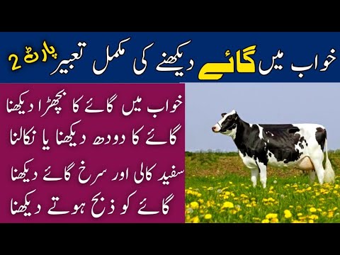 khwab mein gaye dekhna | khwab mein gaye dekhne ki tabeer | cow dream meaning