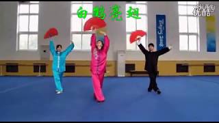 楊氏28式太極扇新编套路 - 楊麗 ( 配動作口令) 28 Form Yang Style Taiji Fan - Yang Li