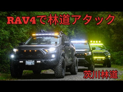 【林道編Part1】滋賀県にある茨川林道へRAV4で行ってみた！