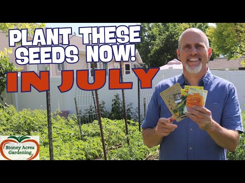 13 Seeds You Can Still Plant in July - Mid Season Gardening