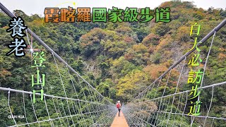 【霞喀羅國家步道】百大最美必訪步道，白石吊橋夢幻楓紅季節-養老登山口