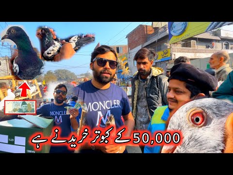 50,000 Tak Kabootar Lenay Hy Part ( 2 )