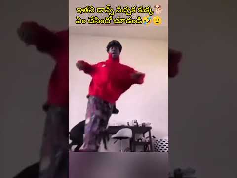 ఇతని డాన్స్ నచ్చక కుక్క🐕ఏం చేసిందో చూడండి🤣🫡 #shorts #funnydog