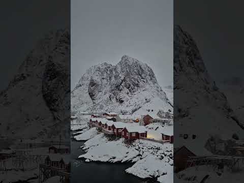 Hamnøy, Lofoten - Norway; 1st of January 2025 🤍🩶