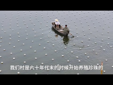 走进珍珠之乡，外籍乡村体验官的“珠乡”之旅   #诸暨