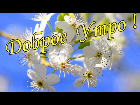 С ДОБРЫМ УТРОМ !🌼Желаю Самого Доброго Солнечного Утра!🌼  Шикарная Музыкальная открытка 🌼