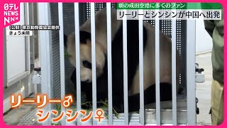 【中国へ出発】上野動物園のジャイアントパンダ2頭  朝の成田空港に多くのファン