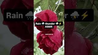 Rain 🌧️ thunder ⛈️ ASMR #asmr #rainasmr #rainasmrrelax #thunder #thunderasmr #thundersounds