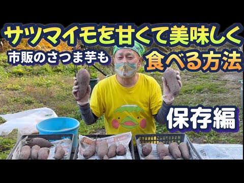 【美味しいサツマイモの食べ方】ちょっとした工夫で甘くて長持ちのさつまいもにする方法(前編)