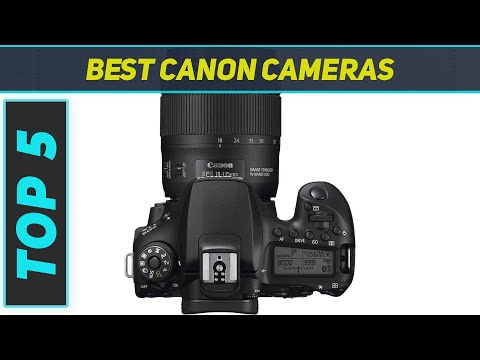 Top 5 Canon Cameras in 2023