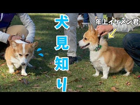 年上イケメンにぐいぐい来られた愛犬がこうなりました！