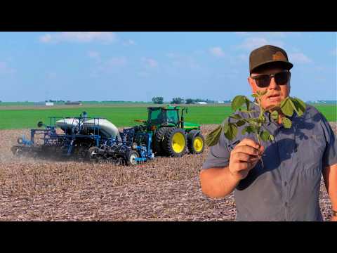 THE PROMISE OF EARLY PLANTED SOYBEANS