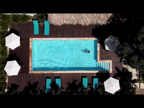 Diving Into Pool | Copyright Free Video Footage