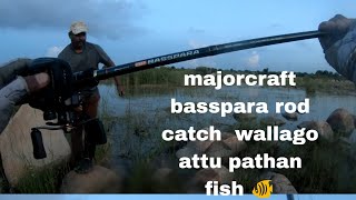 Fishing videos !!  snakehead wallago attu fishing on my new majorcraft basspara rod #fishingvideo