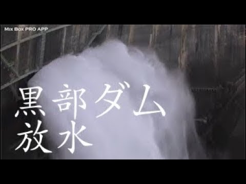 【環境音ASMR 】港の波音と車の走行音 作業用 仕事 勉強 集中力up