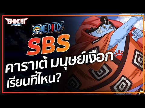 ONE PIECE : คาราเต้มนุษย์เงือก เรียนที่ไหน? - SBS 14