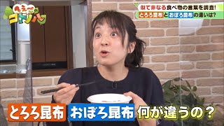 とろろ昆布とおぼろ昆布、何が違うの？