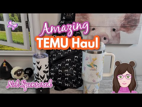 Amazing TEMU HAUL! October 2024 - Not Sponsored!