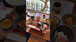 Prettiest lunch with a view in Kyoto, Japan! 📍Arashiyama Itsukichaya 🦢 #Kyoto #Japan #Arashiyama