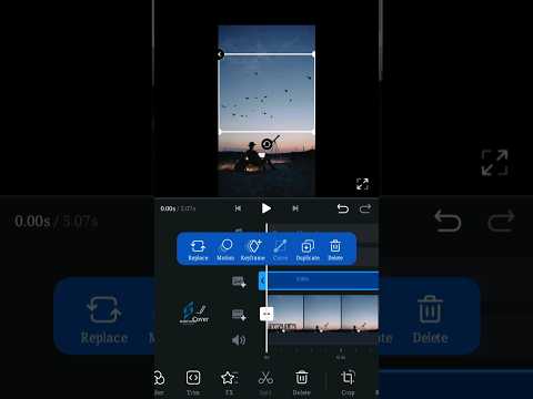 Add Birds In Video VN Video Editor